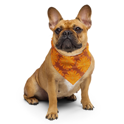 Retro Sunburst Bandana Scarf